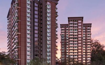 whatsapp image 2026 03 11 at 3.28.43 pm (1)