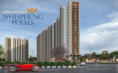 whatsapp image 2026 03 11 at 3.28.44 pm (1)