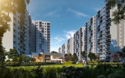 whatsapp image 2026 03 11 at 3.30.01 pm