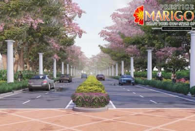 whatsapp image 2026 03 11 at 3.38.23 pm