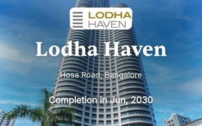 whatsapp image 2026 03 12 at 2.54.14 pm