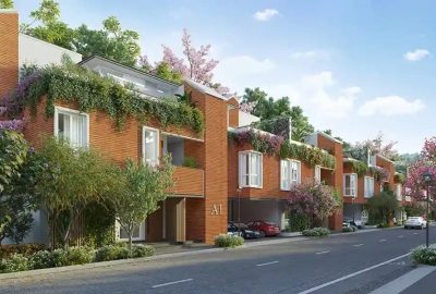 whatsapp image 2026 03 12 at 2.55.26 pm