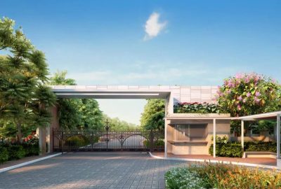 whatsapp image 2026 03 12 at 2.56.50 pm