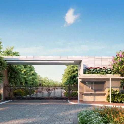 whatsapp image 2026 03 12 at 2.56.50 pm